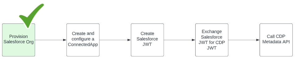 Sequence of steps to invoke Salesforce CDP API